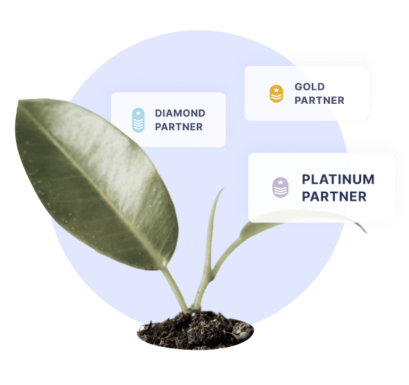 Are you an accounting firm?